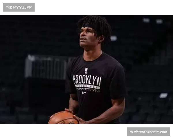 深圳男篮签下阿利兹·约翰逊 提升内线全能性与轮换深度